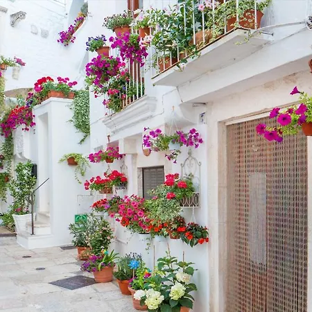 Willa Galante Sleeps 5